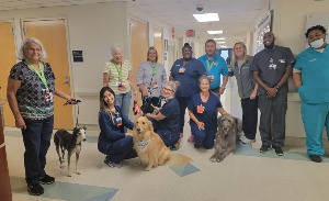 Dogs visit hospital