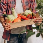 Farmer in greenhouse holding box of vegetables