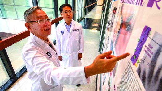 Dr. Franklin Tay shows research to a collegue.
