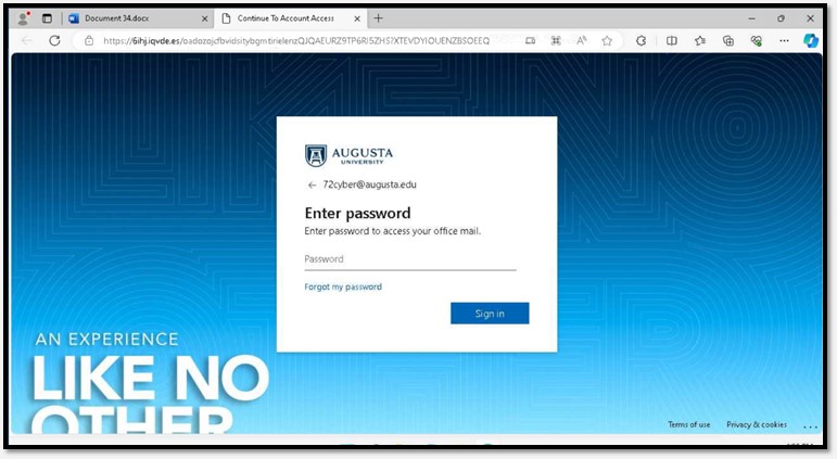 A fake copied version of the official login page