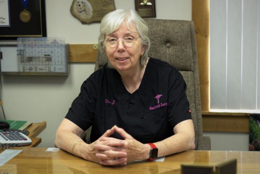 weclew award jane martone headshot